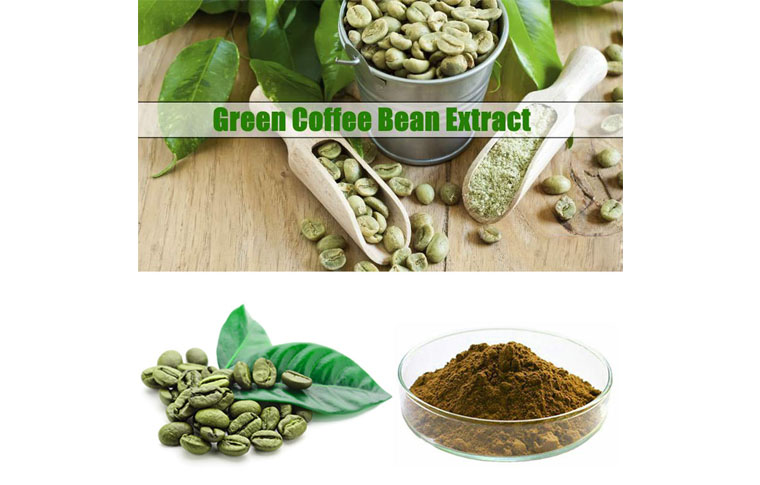 Green Coffee Bean Extract