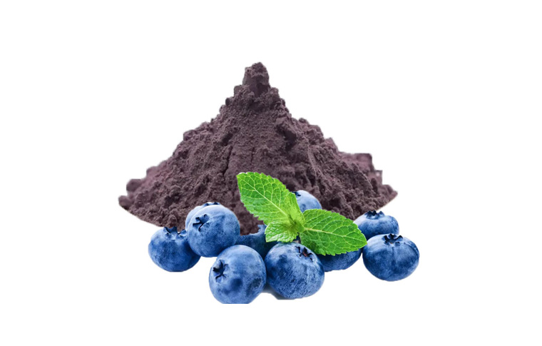 Bilberry Extract